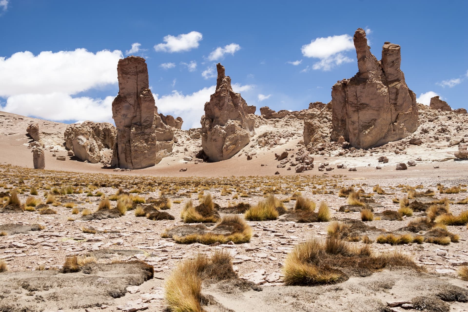 Salar de Tara