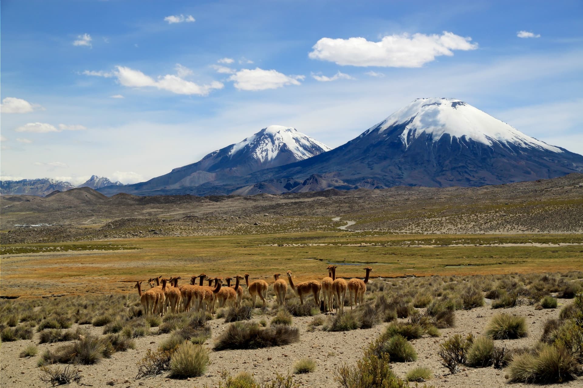 Journey through northern Chili