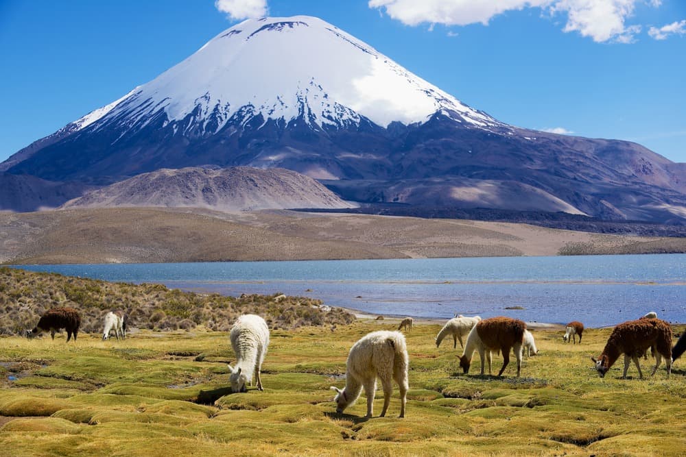 Lauca National Park