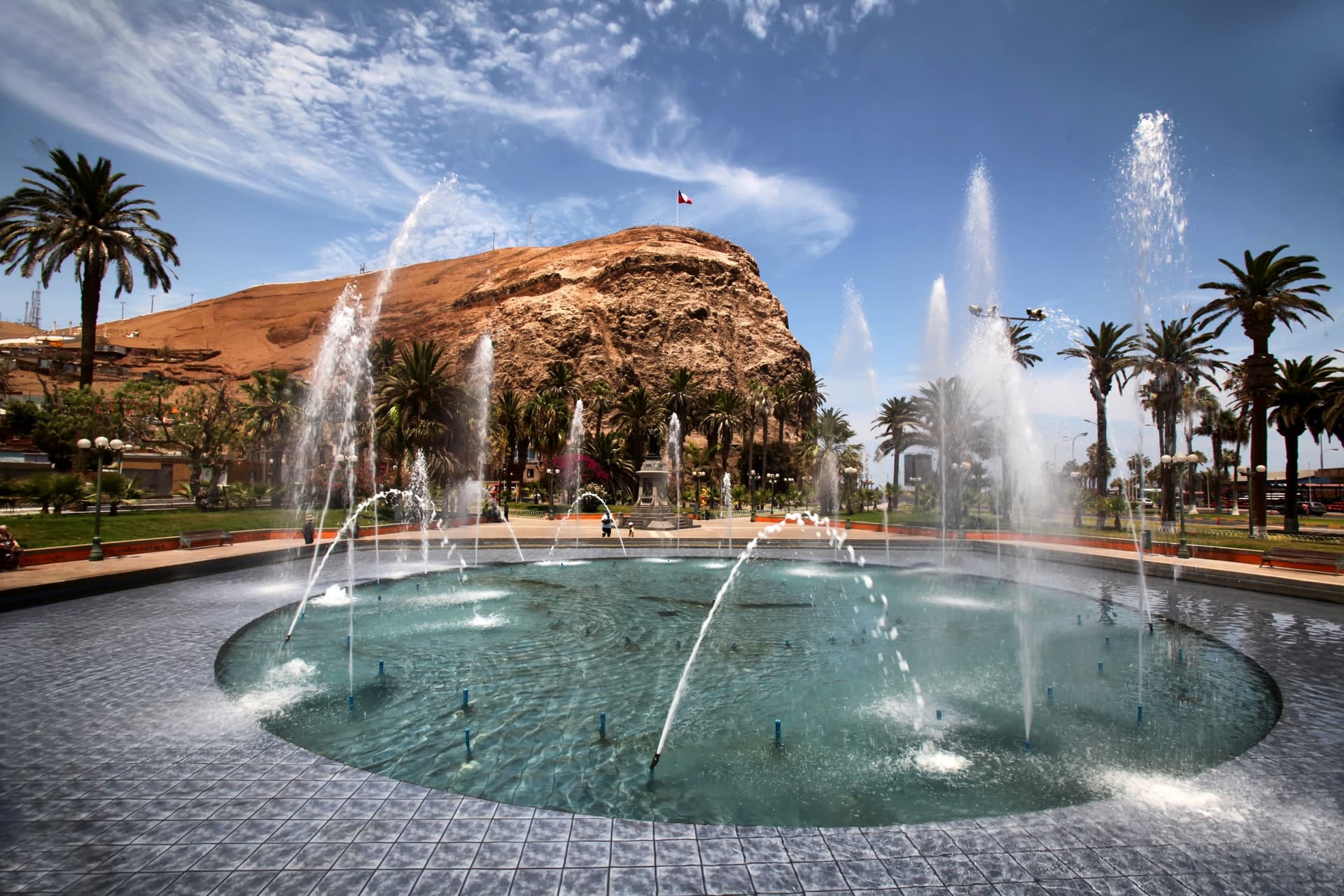 arica chili