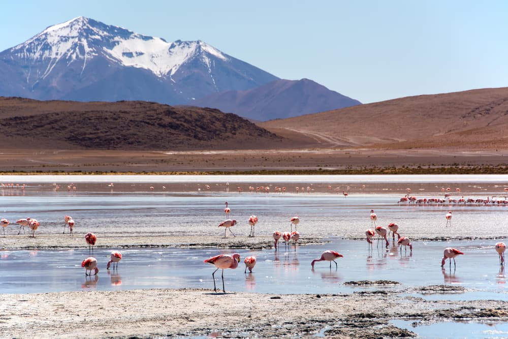 South Lipez and the Chilean Border