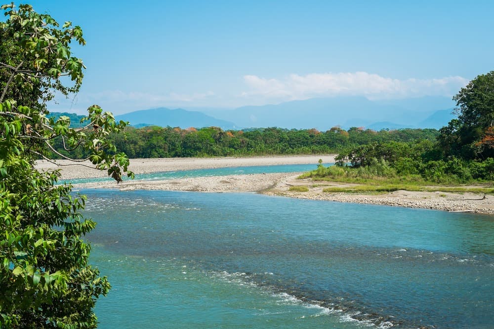 Chapare Valley