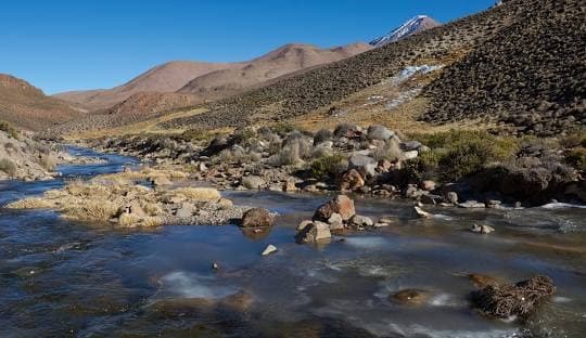 The Lauca River (Rio Lauca)